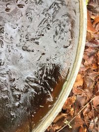 High angle view of ice on glass