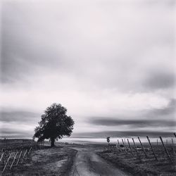 Road amidst trees on field against sky