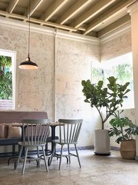 Potted plants on table at home