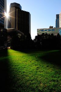 View of lawn in lawn