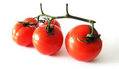 Close-up of tomatoes against white background