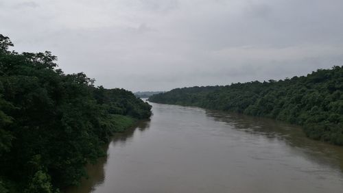 Scenic view of river amidst trees against sky