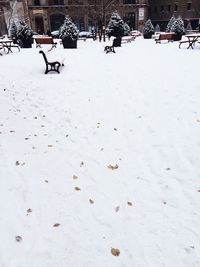 Snow on field during winter