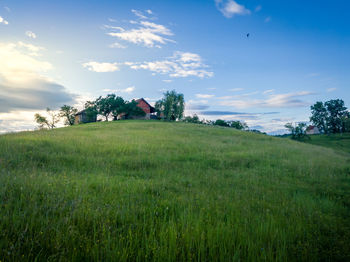 Scenic view of field against sky