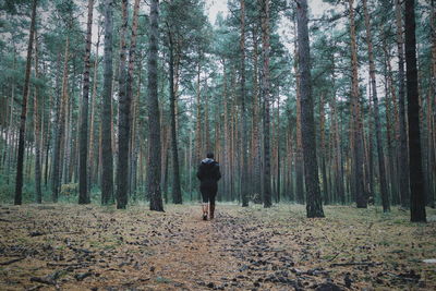 Rear view full length of woman walking in forest