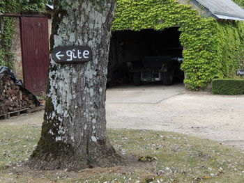 Information sign on tree by building