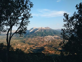 View of trees on mountain against sky