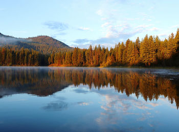 Scenic view of lake in forest against sky