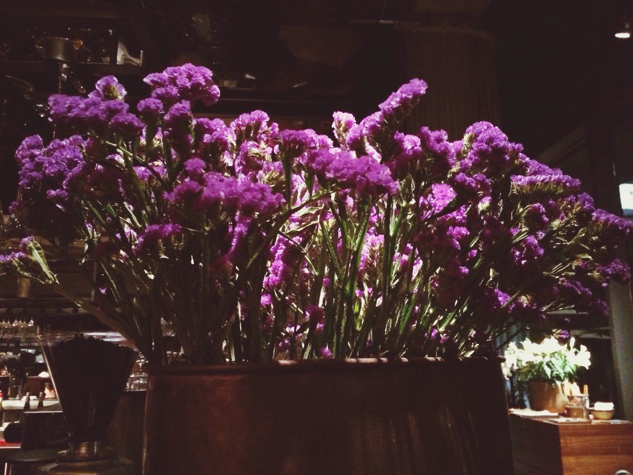 flower, night, illuminated, potted plant, decoration, growth, table, indoors, purple, plant, vase, chair, built structure, freshness, no people, lighting equipment, architecture, house, flower pot, nature