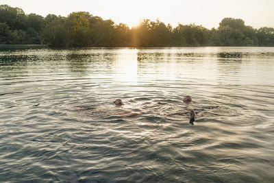 Old and young man swimming in a lake at sunset