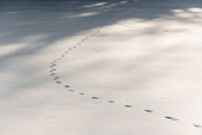 High angle view of footprints on sand at beach