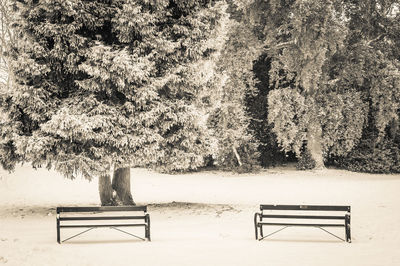 Empty bench in park