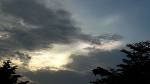 Low angle view of silhouette trees against sky