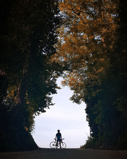 Man with bicycle standing amidst trees