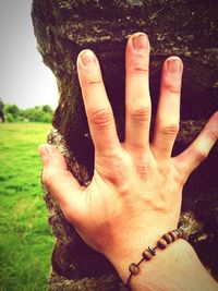 Close-up of hands on tree trunk