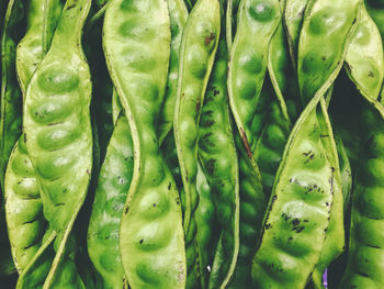 Full frame shot of green vegetable for sale in market
