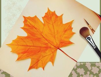 Close-up of maple leaves
