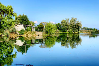 Scenic view of lake by trees against blue sky