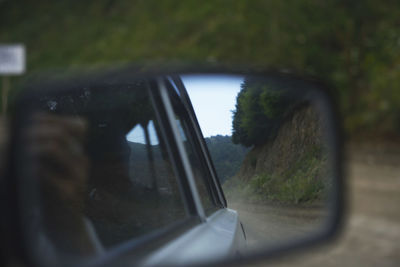 Reflection of trees in water