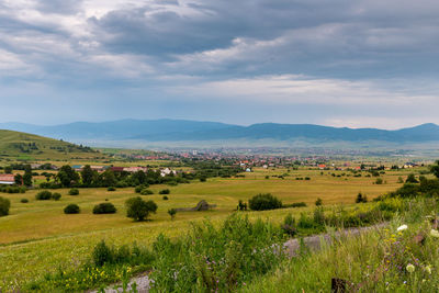 Scenic view of field against sky