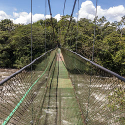 Tirimbina reserve near puerto viejo the tropical rainforest longest suspension bridge in costa rica