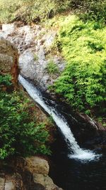 Stream flowing through rocks