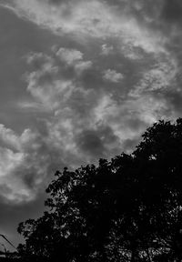 Low angle view of silhouette trees against sky