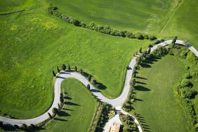 High angle view of agricultural field