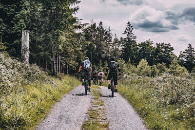 Rear view of people walking on road amidst trees