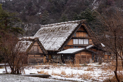 Snow covered houses and trees in forest