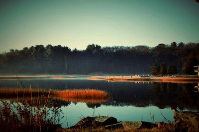 Reflection of trees in lake