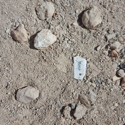 High angle view of shells on sand