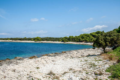 Scenic view of sea against blue sky