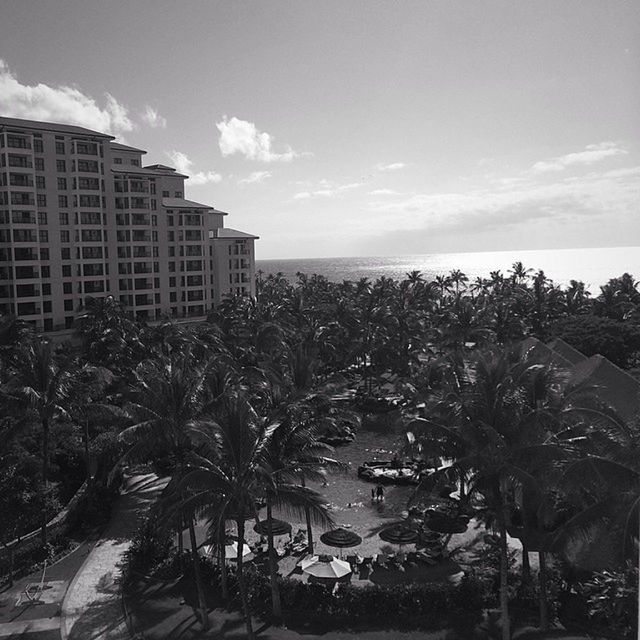 sea, horizon over water, sky, water, building exterior, architecture, built structure, beach, palm tree, tree, growth, plant, cloud - sky, high angle view, nature, city, shore, day, beauty in nature, cloud