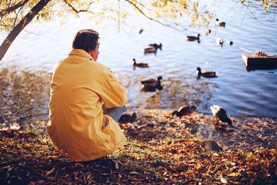 Rear view of man looking at ducks swimming on lake