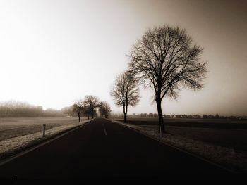 Road amidst bare trees against sky