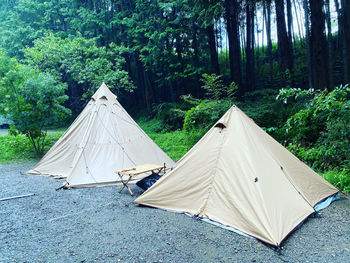 View of tent in forest