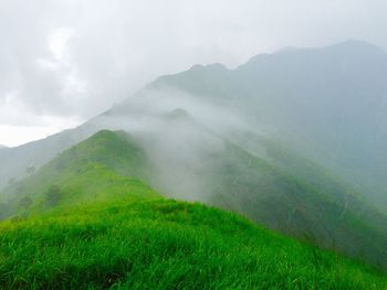 Landscape with mountain range in background