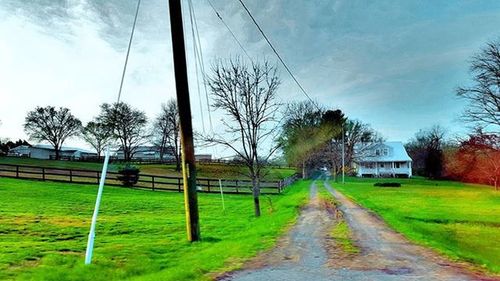 Empty road amidst trees in park