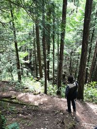 Rear view of man standing amidst trees in forest