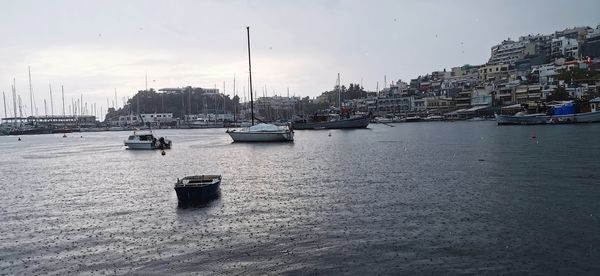 Sailboats moored in harbor