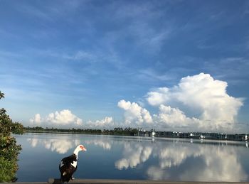 Reflection of man in lake against sky