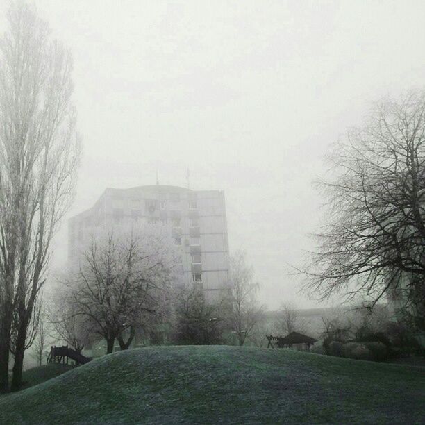 bare tree, built structure, tree, architecture, building exterior, fog, weather, grass, sky, field, foggy, branch, day, nature, tranquility, city, copy space, outdoors, park - man made space