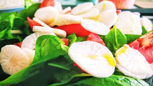 Close-up of salad in plate