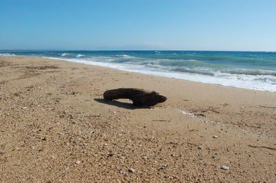 Scenic view of beach against blue sky