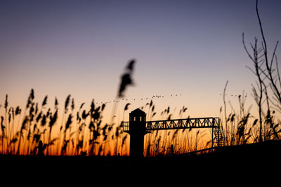 Low angle view of bird perching on fence against sky during sunset