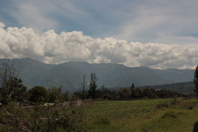 Scenic view of landscape against sky