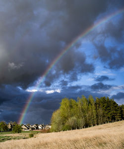 Rainbow over trees on field against sky