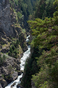 High angle view of stream flowing through rocks in forest