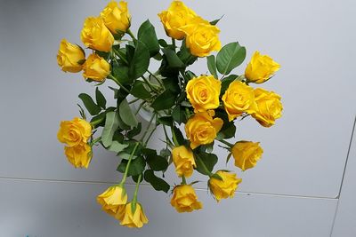 Close-up of yellow rose against white background
